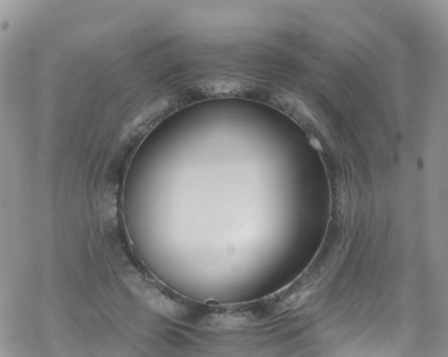 X0000069410545200605192306