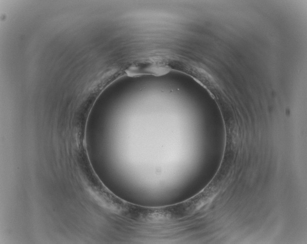 X0000069410546200605192306