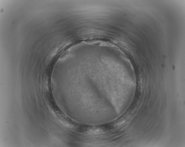 X0000069410547200605192306