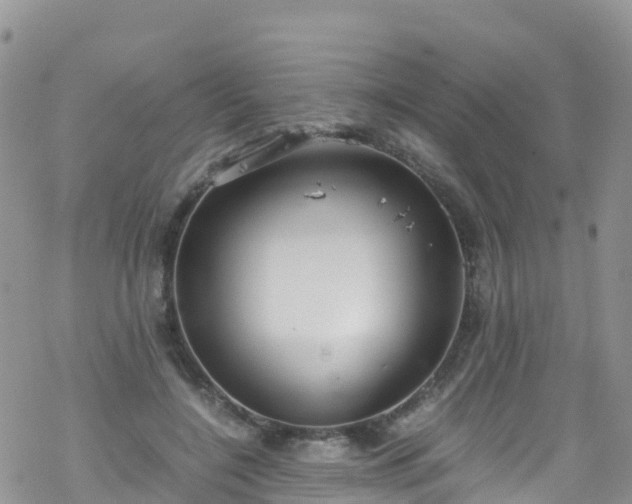 X0000069410548200605192306