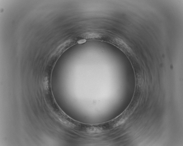 X0000069410549200605192306