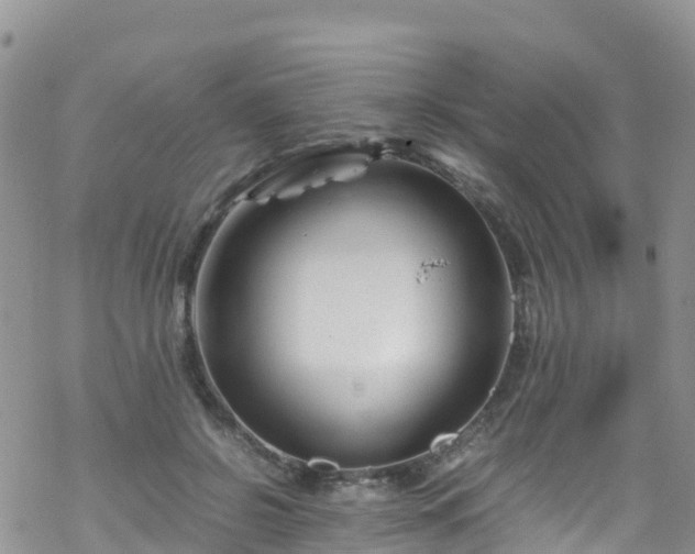 X0000069410550200605192306