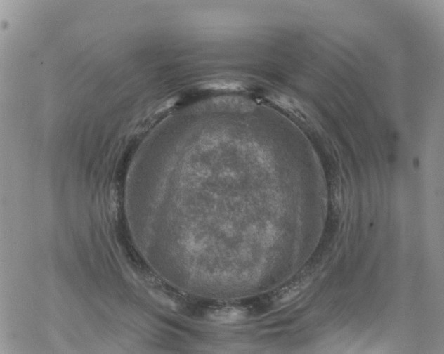 X0000069410551200605192306