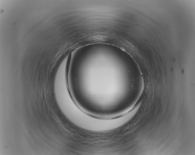 X0000069410552200605192306