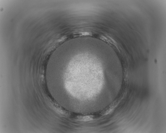 X0000069410553200605192306