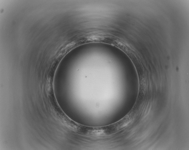 X0000069410554200605192306