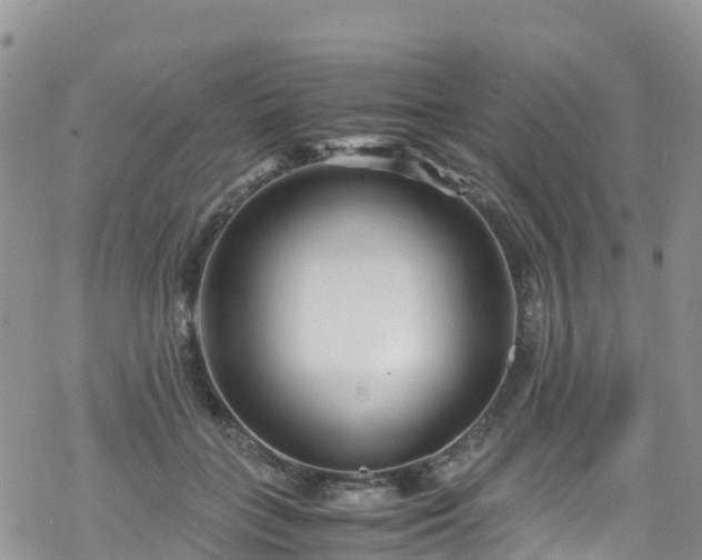 X0000069410555200605192306