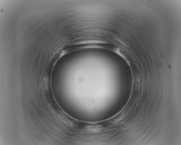 X0000069410556200605192307