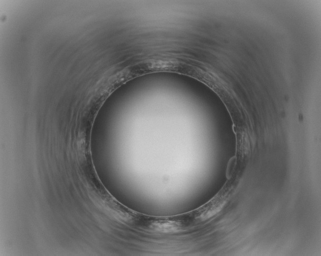 X0000069410557200605192307