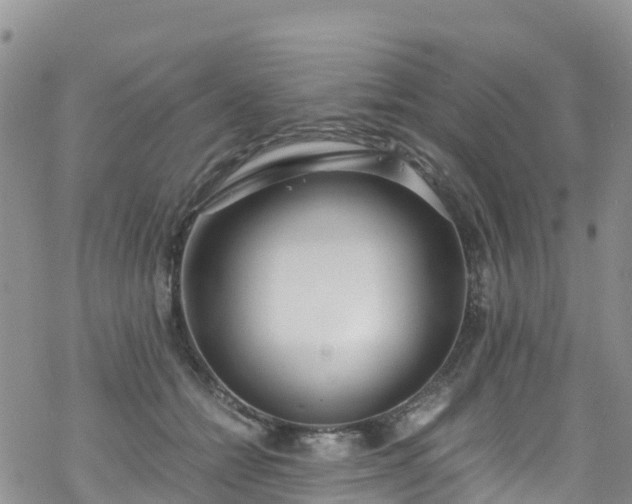 X0000069410558200605192307