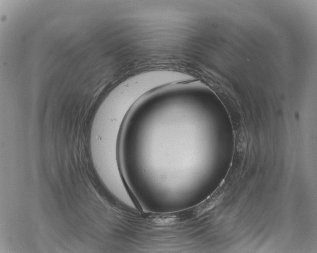 X0000069410560200605192307