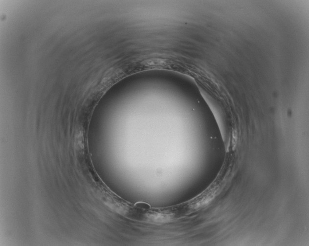 X0000069410561200605192307