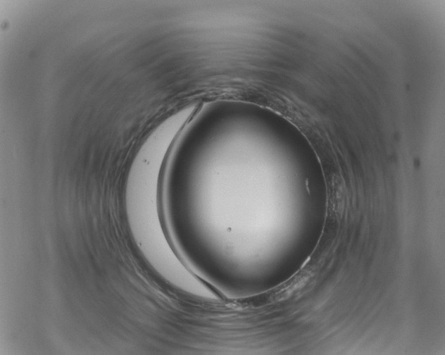 X0000069410562200605192307