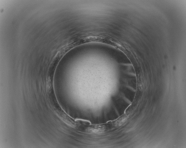 X0000069410563200605192307