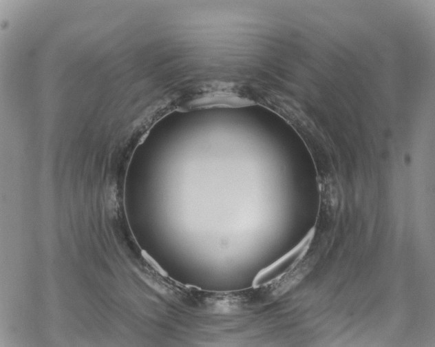 X0000069410564200605192307