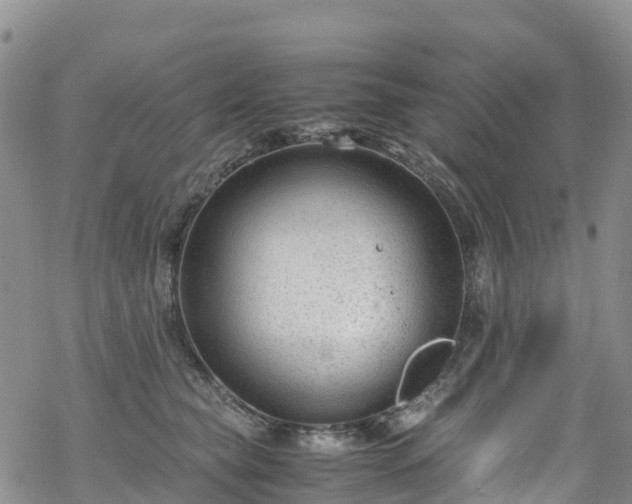 X0000069410565200605192307