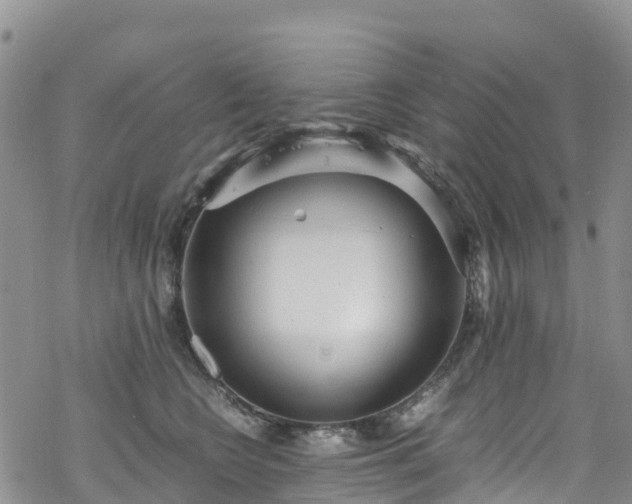 X0000069410566200605192307