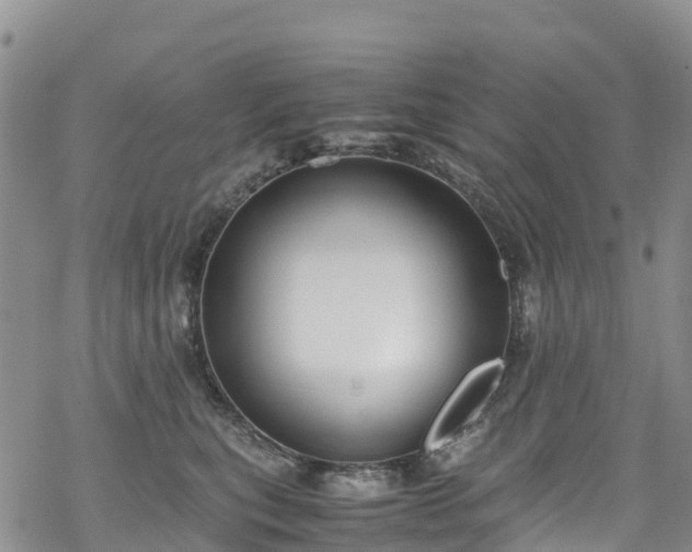 X0000069410567200605192307