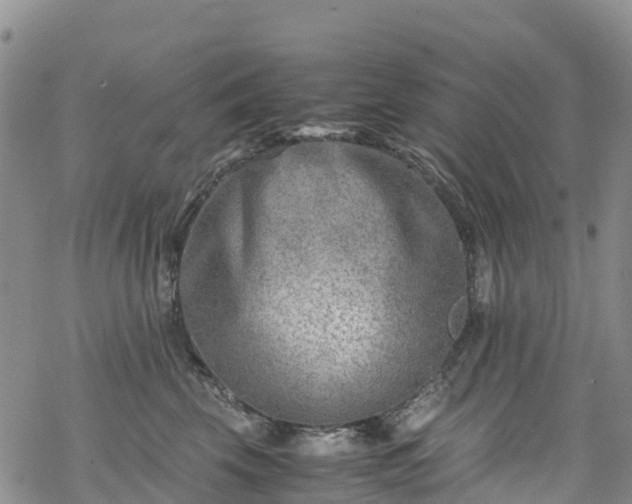 X0000069410569200605192307