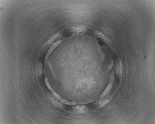 X0000069410570200605192307