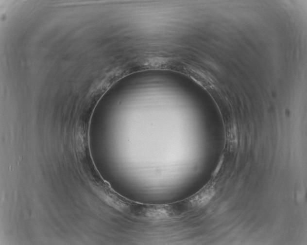 X0000069410572200605192307