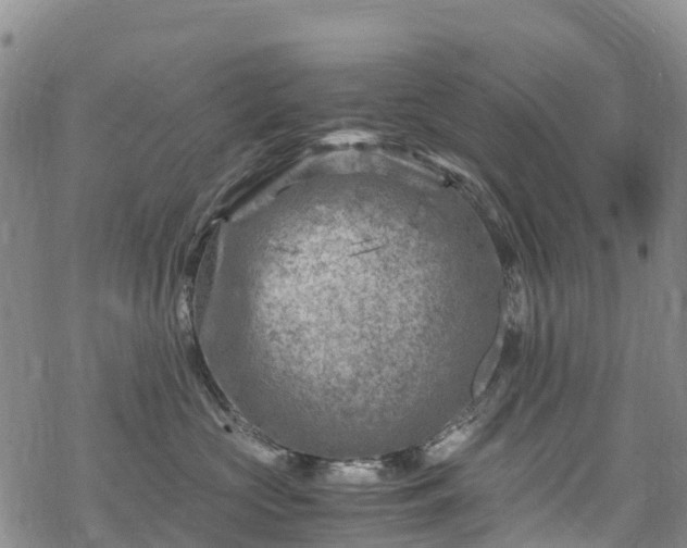 X0000069410573200605192307