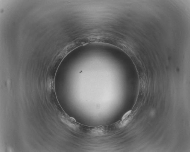 X0000069410574200605192307