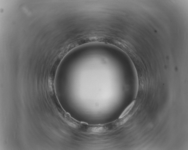 X0000069410575200605192307