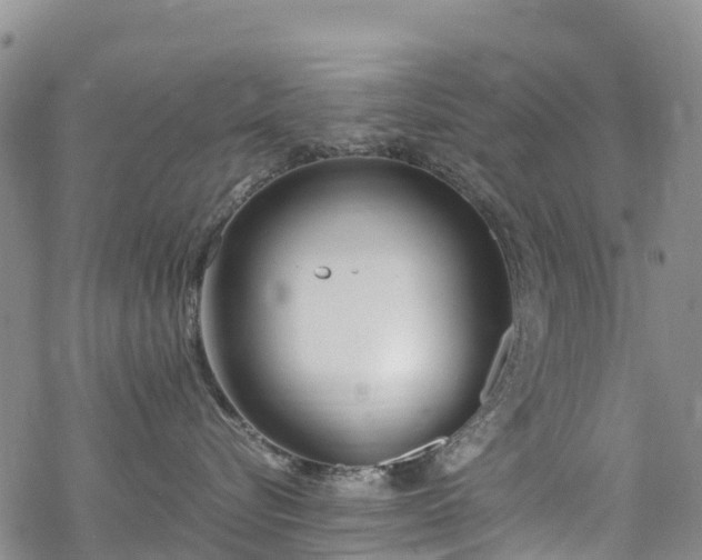 X0000069410576200605192307