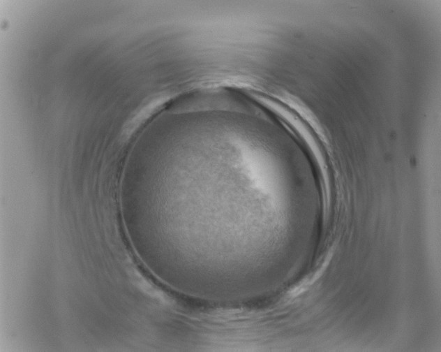 X0000069410577200605192306