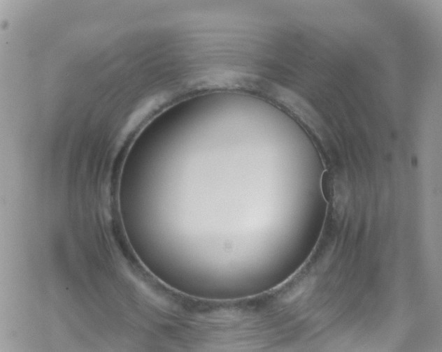 X0000069410578200605192306