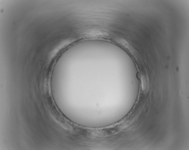 X0000069410579200605192306