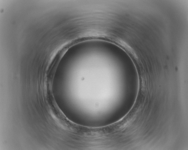 X0000069410580200605192306