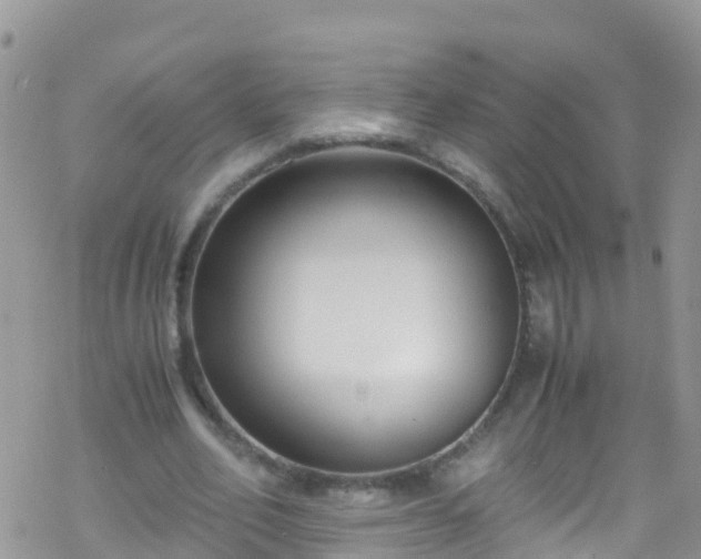 X0000069410582200605192306