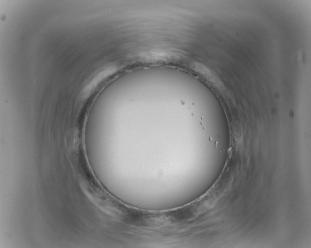 X0000069410583200605192306