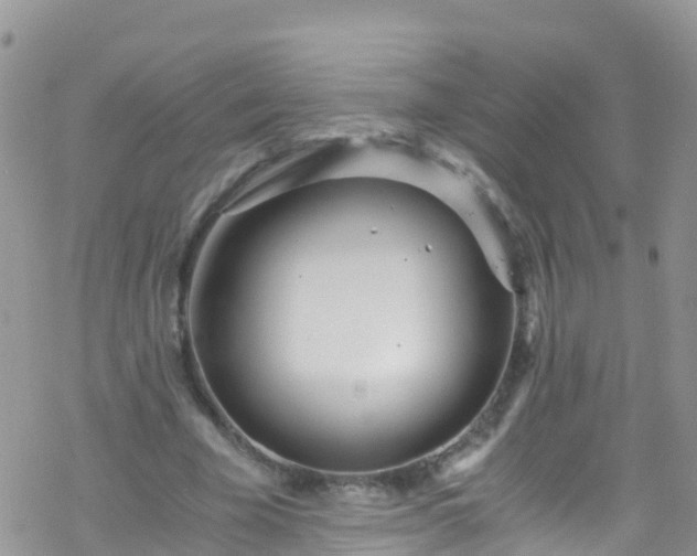 X0000069410585200605192306