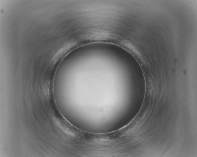 X0000069410586200605192306