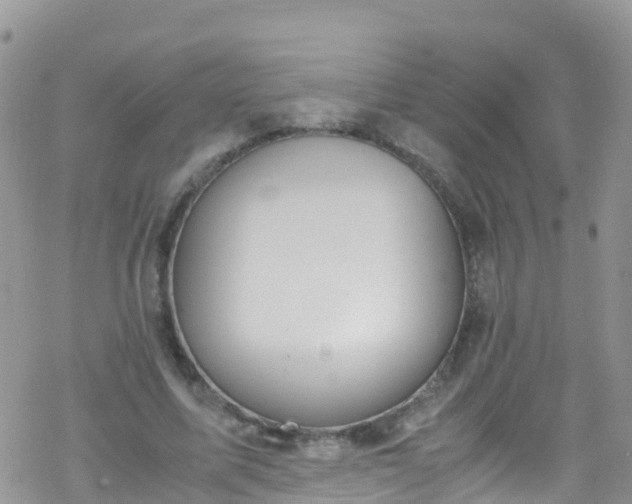 X0000069410587200605192306