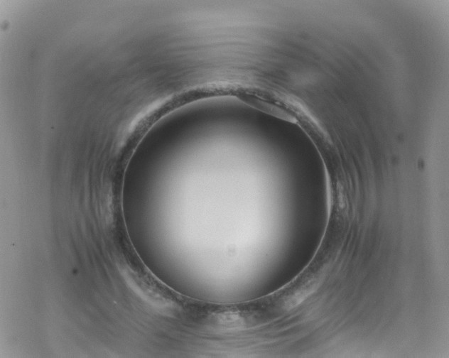 X0000069410588200605192306