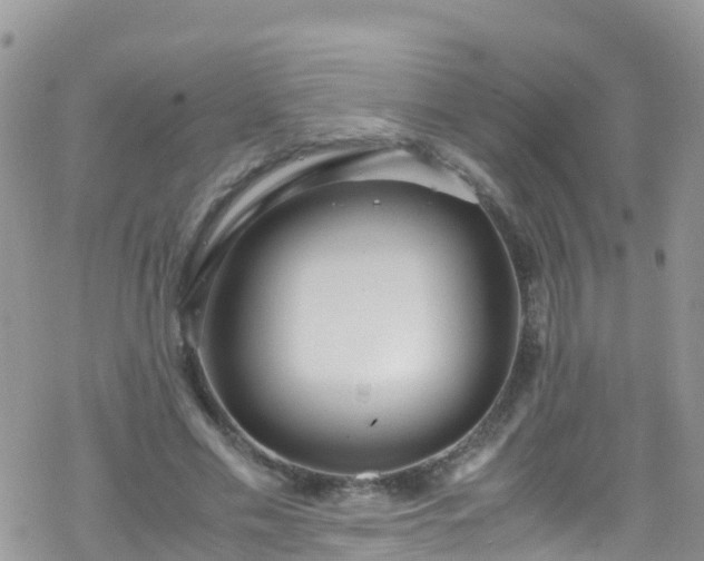 X0000069410589200605192306