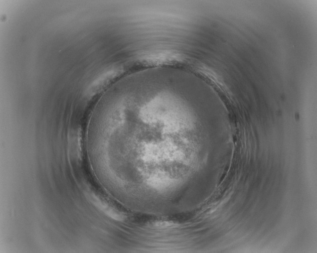 X0000069410590200605192306