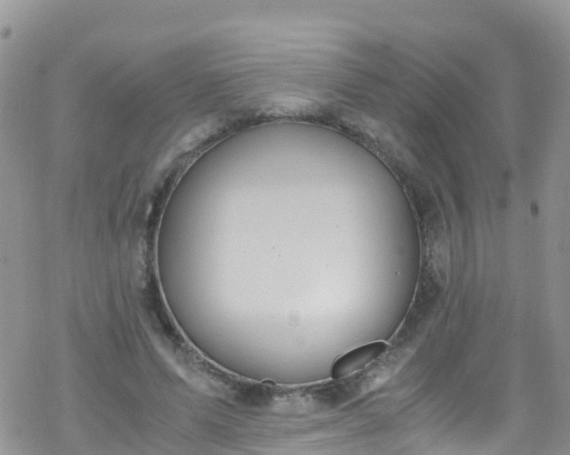 X0000069410591200605192306