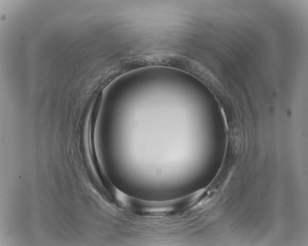 X0000069410593200605192306