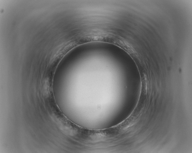 X0000069410594200605192306