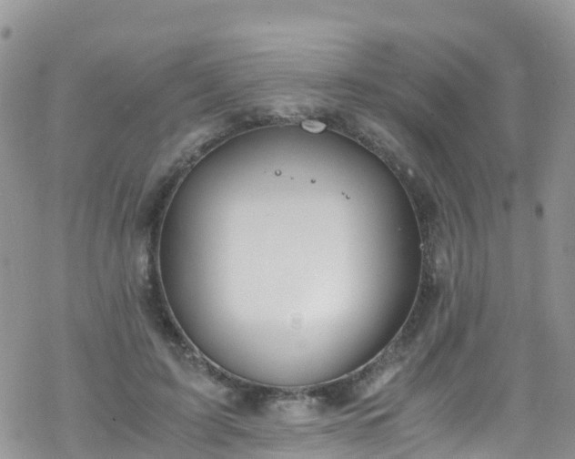 X0000069410595200605192306