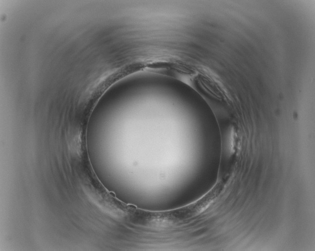 X0000069410596200605192306