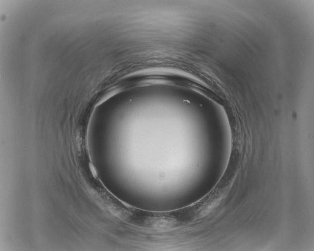 X0000069410597200605192306