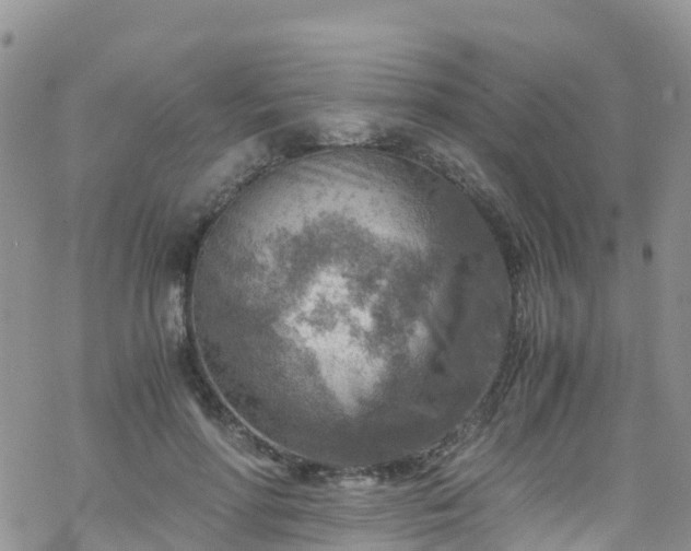 X0000069410598200605192306