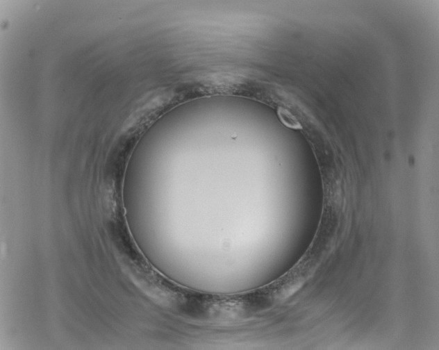 X0000069410599200605192306