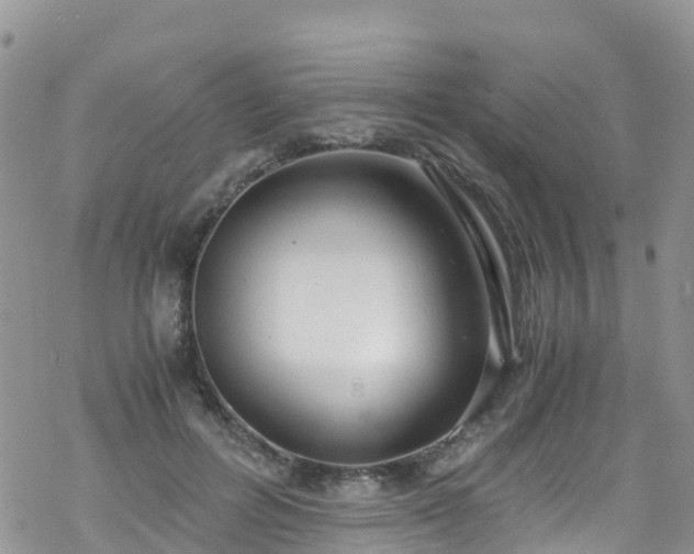 X0000069410600200605192306